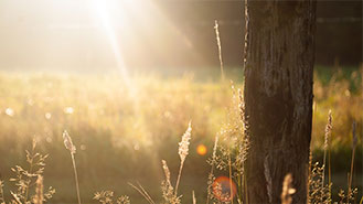 网页在线DDOS压力测试