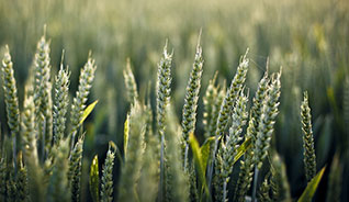 自动发货专业的免费ddos压力测试平台